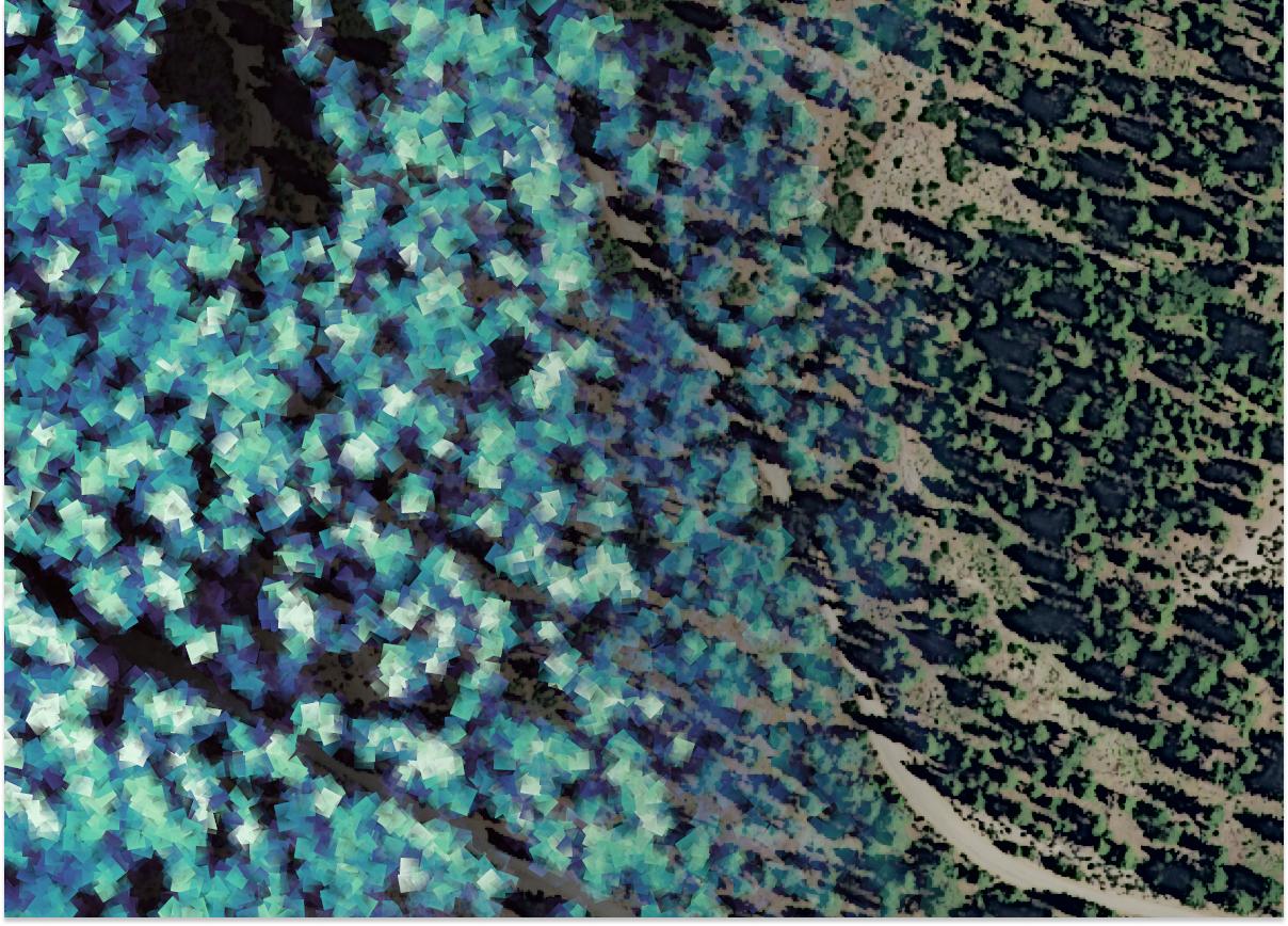 Sentinels in the Sky: Harnessing Aerial Technologies to Monitor Forest Health Treatments