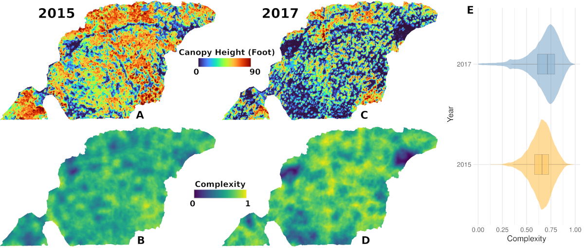 Figure 3: Comparison of the complexity index pre-treatment (2015) and post-treatment (2017). A & B: Canopy height model and complexity index of the forest stand pre-treatment. C & D: Canopy height model and complexity index of the forest stand post-treatment. E: Statistical distribution of the complexity index pre- and post-treatment. Note the shift of complexity values towards 1 (greater complexity) after the treatment.