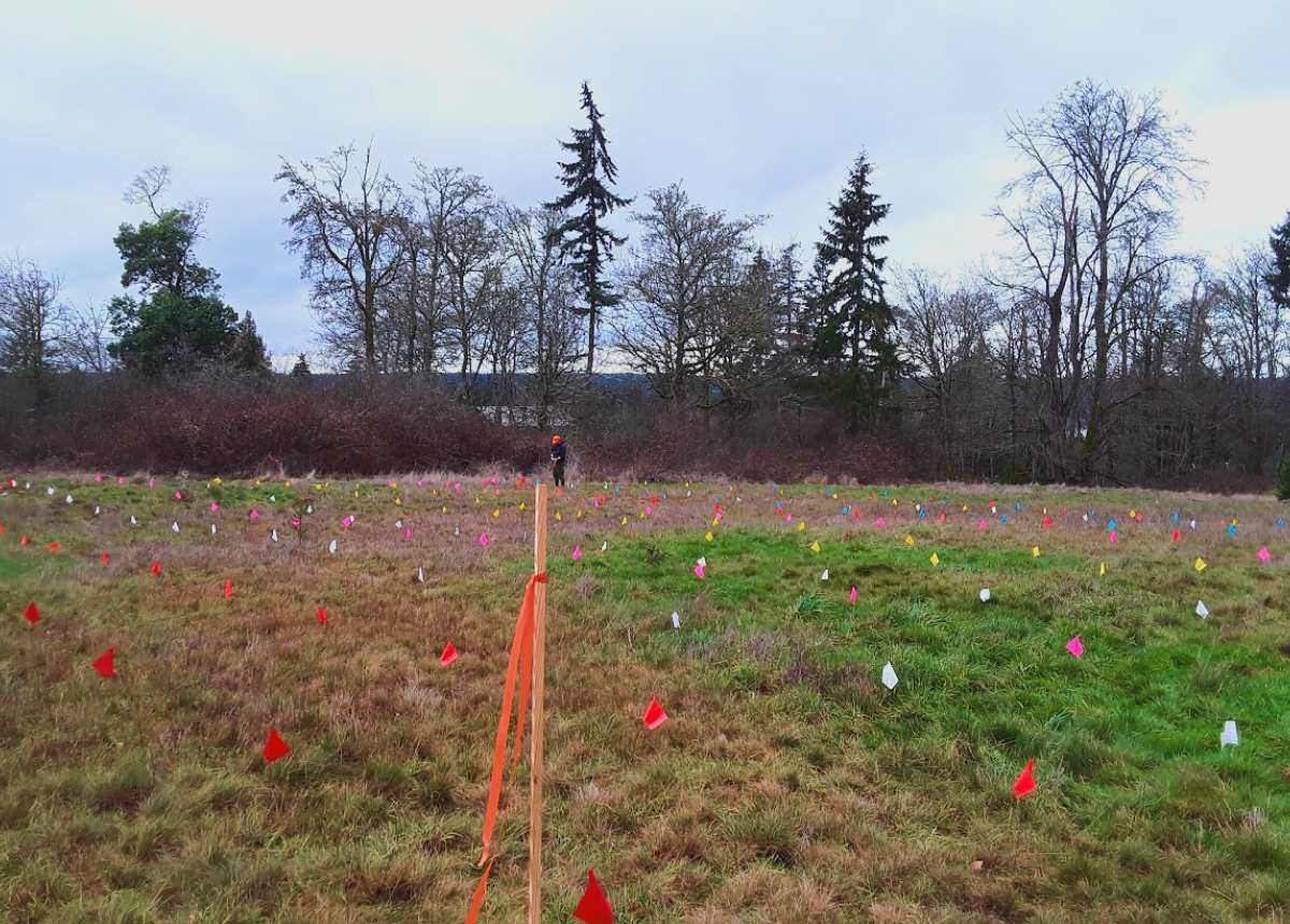 Planting Forests of the Future with King County