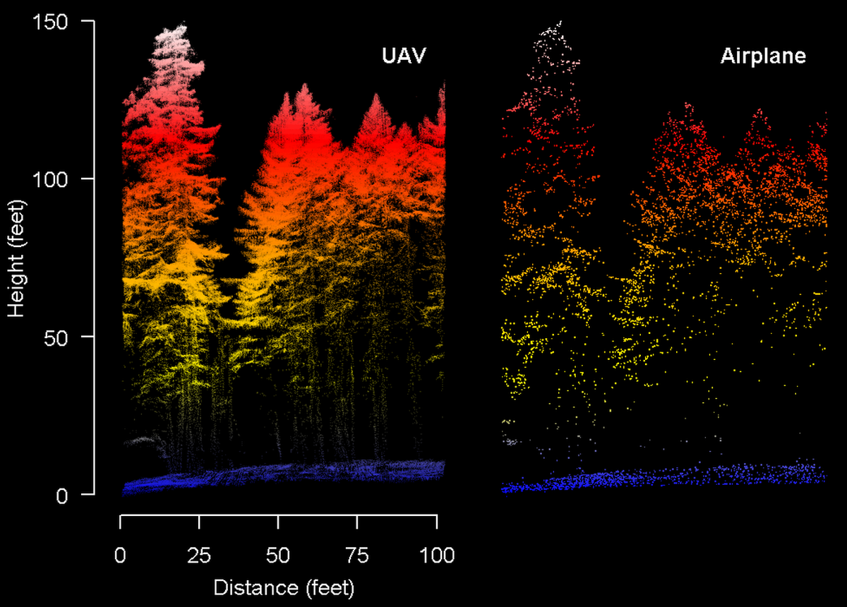 UAV Lidar in Forestry